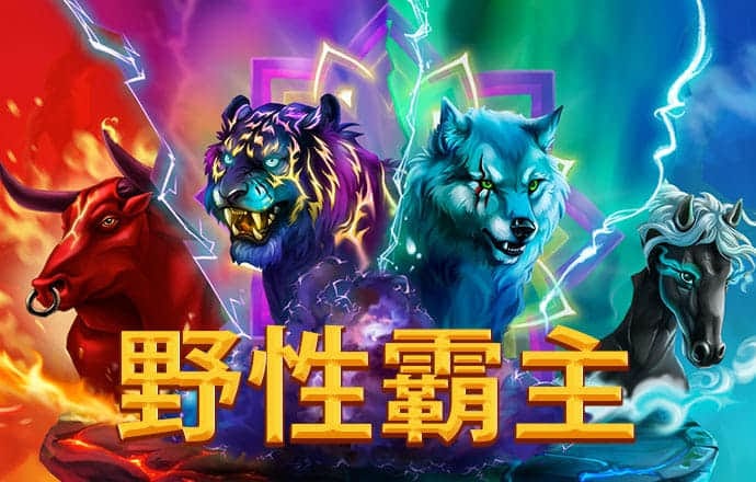 凤凰彩票老版安卓手机app下载